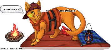 Dressed pet