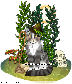 Dressed pet