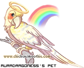 Dressed pet