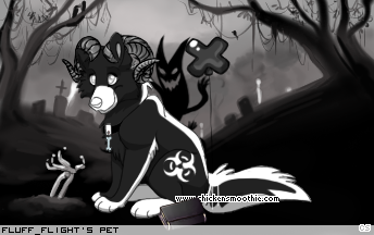 Dressed pet