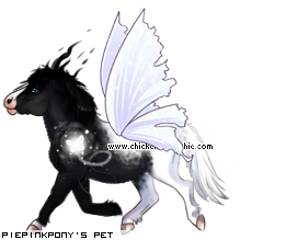 Dressed pet