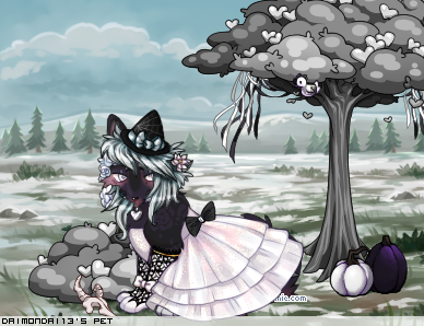 Dressed pet