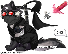 Dressed pet