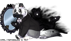 Dressed pet