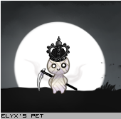 Dressed pet