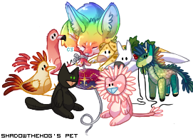 Dressed pet
