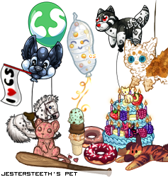 Dressed pet