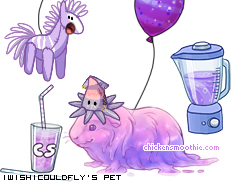 Dressed pet