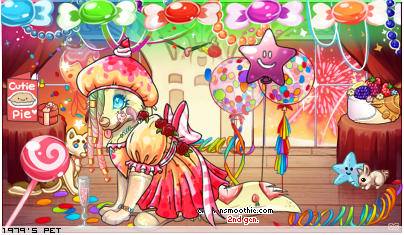 Dressed pet