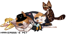 Dressed pet