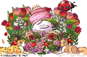Dressed pet