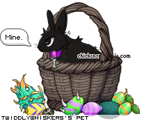 Dressed pet