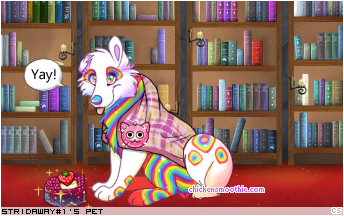 Dressed pet