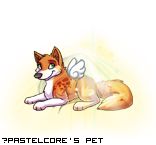 Dressed pet