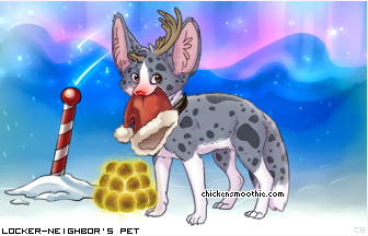 Dressed pet