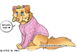 Dressed pet