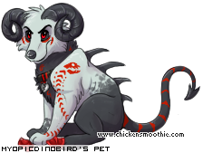 Dressed pet
