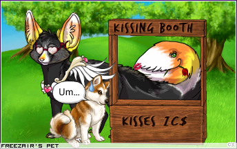 Dressed pet