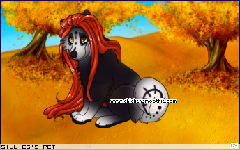 Dressed pet