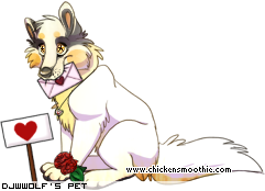 Dressed pet