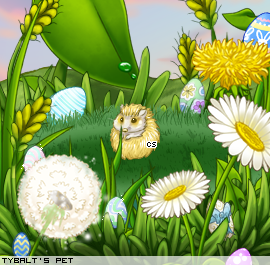 Dressed pet