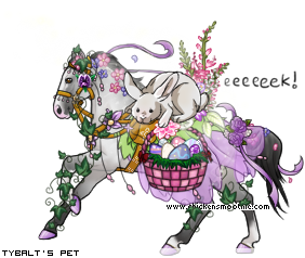 Dressed pet