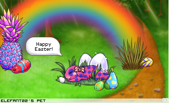 Dressed pet