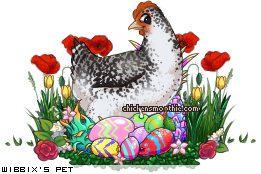 Dressed pet