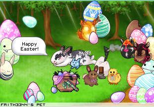 Dressed pet