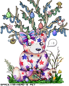 Dressed pet