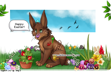 Dressed pet