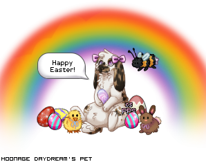 Dressed pet