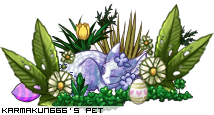 Dressed pet