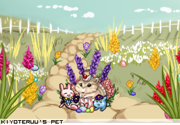 Dressed pet