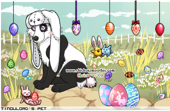 Dressed pet