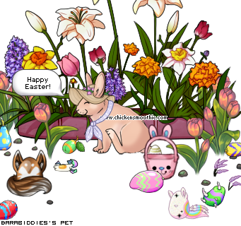 Dressed pet