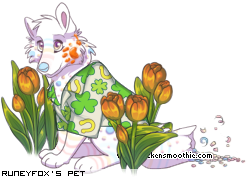 Dressed pet