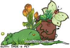 Dressed pet