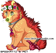 Dressed pet