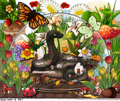 Dressed pet
