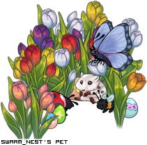 Dressed pet