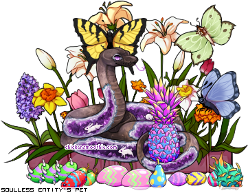 Dressed pet