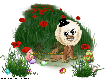 Dressed pet