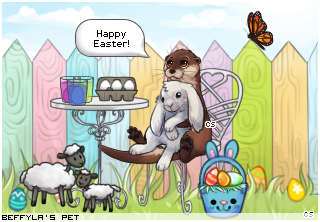 Dressed pet