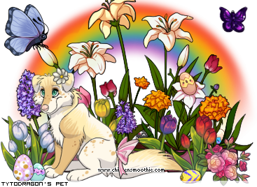 Dressed pet