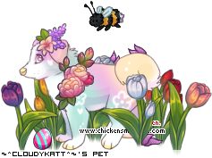 Dressed pet