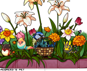 Dressed pet