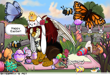 Dressed pet