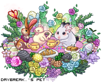 Dressed pet
