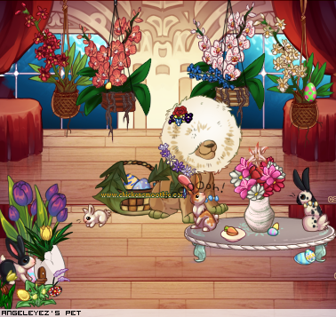 Dressed pet